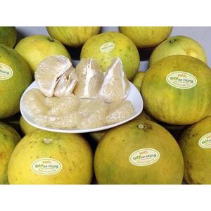 Pomelo DOAN HUNG dal Vietnam, Specialità Tradizionale, Dolce, Succoso e Fornitura all'Ingrosso per l'Esportazione - Product Image 2