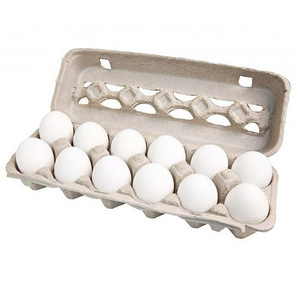 Huevos de Gallina Blancos de Alta Calidad, Exportador al por Mayor, Proveedor de Huevos Frescos de Granja para Distribuidores Internacionales - Product Image 4