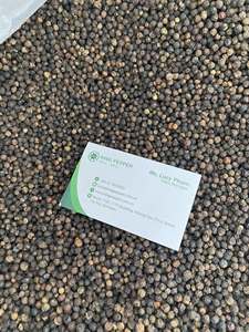พริกไทยดำเวียดนามขายดี คุณภาพสูง เครื่องเทศรสเข้มข้น อบแห้ง ราคาส่ง - Product Image 6