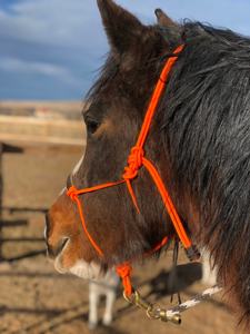 Cuerda de Nylon Multicolor con Accesorios de Latón o Níquel, Personalizable, para Caballos, Fabricada en India - Product Image 3