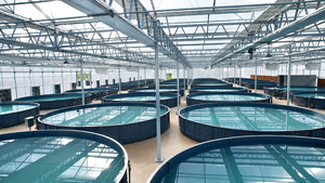 YUTANKRAS Sistema de Acuicultura de Plástico de Alta Resistencia con Diseño Circular de Panal de Abeja de PP de Alta Densidad para Cría de Tilapia - Product Image 4