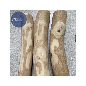 BEST SELLER Bâton à mâcher pour chien en bois de café de qualité supérieure, sans produits chimiques, bâton en bois naturel pour la dentition et le soulagement du stress - Product Image 1