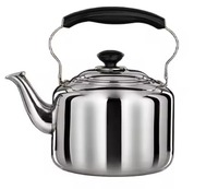 Théière en métal de qualité supérieure, élégante, pour la maison, la cuisine, la table à manger et les pauses thé au bureau