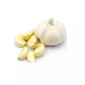 <b>Fresh</b> Pure White Normal White Purple White <b>garlic</b> supplier - Product Image 1