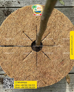 Manta de Fibra de Coco Natural en Varios Tamaños para Control de Humedad/Protección de Plantas/Decoración por COCO HITECH - Product Image 2