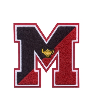 Écusson brodé personnalisé en chenille avec logo, pour vestes, sweats à capuche, chemises, sacs et vêtements de sport – Nouveauté USA 2026 - Product Image 5