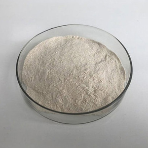 Proveedor profesional de enzima proteasa alcalina de grado alimenticio, polvo de alta pureza para aplicaciones de hidrólisis de proteínas - Product Image 2