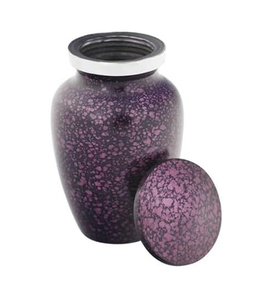 Urnas de Cremación Modernas y Ecológicas de Acero Inoxidable en Forma de Lágrima para Perros - Recuerdo y Uso en Entierro a Bajo Precio - Product Image 1