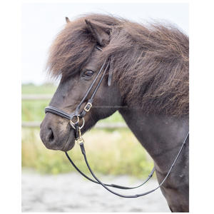 Brides de cheval en cuir anglais italien de haute qualité noir avec étincelle portable noir et design en cristal Sier pour l'équitation - Product Image 4