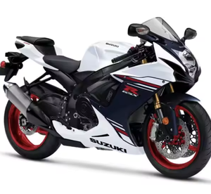 LA MEJOR OFERTA 100% NUEVAS MOTOCICLETAS R-1000 /1000cc con Motor de Escobillas >Disponibles con Entrega - Product Image 1