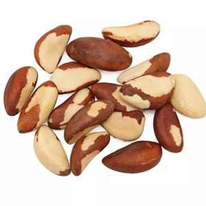 Nueces de Brasil al por mayor de la mejor calidad a precio económico - Product Image 6
