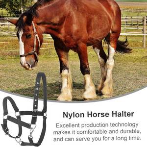 Black Woven Horse Halter With Adjustable Straps And Metal Buckles For Equestrian Riding Halters - Product Image 4