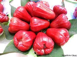 Fruta Fresca de Primera Calidad – Proveedor de Vietnam, Dulce y Jugosa, Fruta Tropical Natural // Sr. Tom - Product Image 3