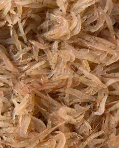 Camarones Pequeños Premium para Alimentación Animal – Fuente Natural de Proteína de Vietnam - Product Image 1