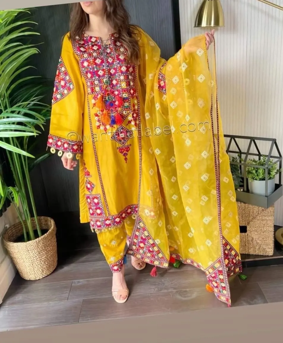 SS Collection Nouvelle Arrivée Robes Brodées Traditionnelles Pakistanaises Robe 3 Pièces Cousue Complète