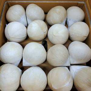 Coco entero pulido de Vietnam Premium | Superficie limpia y acabado de concha blanca | Ideal para el mercado de bebidas de Corea - Product Image 3