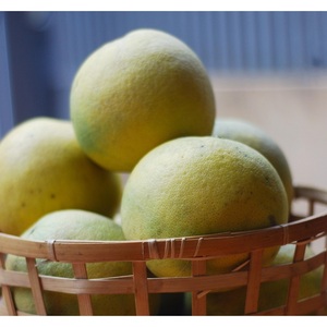 Pomelo DOAN HUNG dal Vietnam, Specialità Tradizionale, Dolce, Succoso e Fornitura all'Ingrosso per l'Esportazione - Product Image 3