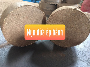 ผู้จัดจำหน่ายใยมะพร้าวเวียดนาม บล็อกใยมะพร้าวแบบอัดแน่น เป็นมิตรกับสิ่งแวดล้อม สำหรับทำสวน ปลูกพืชไร้ดิน และการเจริญเติบโตของพืช - Product Image 6