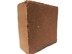Cocopeat ผลิตภัณฑ์ทางการเกษตรออร์แกนิกพืชปลอดภัยและดีต่อสุขภาพจากอินเดียโดยตรง - Product Image 4