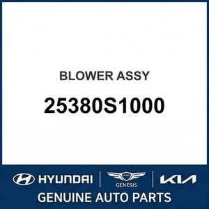 มอเตอร์และล้อโบลเวอร์ HVAC รุ่นใหม่ของซานตาเฟ่ 25380S1000 - Product Image 1