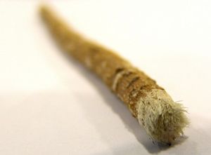 Fasttrend miswak แปรงสีฟันธรรมชาติออร์แกนิกทำให้ฟันขาวทำความสะอาดฟันทุกวันรักษาลมหายใจสดชื่นป้องกันเหงือก - Product Image 4
