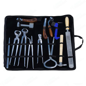 Kit complet de ferrage en acier inoxydable réutilisable pour débutants et experts, outils de soin des sabots de cheval, utilisation vétérinaire durable - Product Image 1