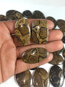 Lote de piedras preciosas sueltas de cabujón de estromatolito natural, forma mixta, parte posterior plana curativa, cabujón semiprecioso liso, lote al por mayor - Product Image 3