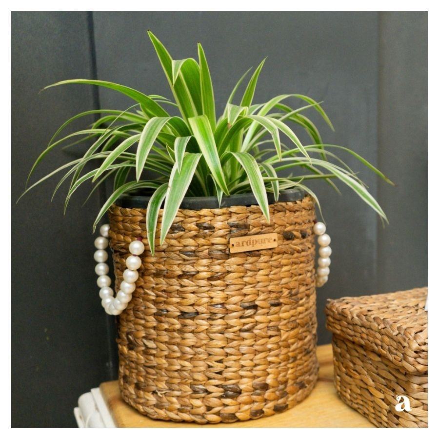 Customized as request