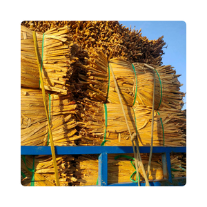 Jacinto de agua seca natural para la producción de cestas y decoración del hogar | Precio barato al por mayor | Respetuoso con el medio ambiente - Product Image 2