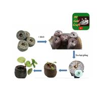 Briques de fibres de coco naturelles de 11 lb, substrat organique pour semis, culture hors-sol, écologique, agricole