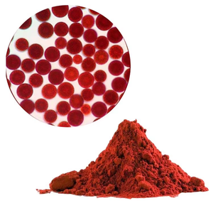 OEM ODM Premium Astaxanthin Extract 5% 100% Pure Natural Astaxanthin Powder for Cosmetic & Food Applications from India - Product Image 6