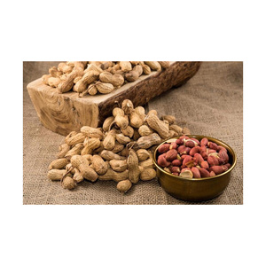Cacahuetes a Granel de Calidad de Exportación |   Nueces de Cacahuete Crudas Naturales 100% Puras, Marca EcoRev, Origen Uttar Pradesh, para Procesamiento de Alimentos y Aceite - Product Image 4