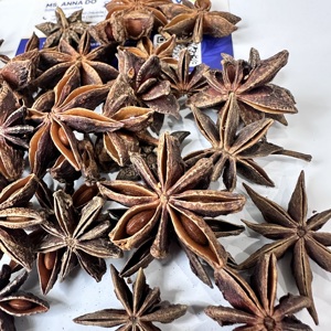 Anís estrellado vietnamita premium, entero, seco, sin tallo, de alto aroma, especia natural, a granel, venta al por mayor, grado alimenticio, exportación directa/ ANNA DO - Product Image 4