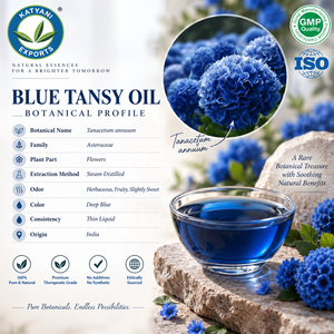 Aceite Esencial de Tanacetum Annuum 2 KG, Aceite Natural de Tansy Azul, Extracto Botánico para Cosméticos y Formulaciones Aromáticas - Madhya Pradesh - Product Image 1
