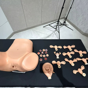 Simulador de Ginecología Kara Mediclust, Práctica Quirúrgica Manual, Entrenamiento de Alta Fidelidad para Profesionales Médicos - Product Image 1
