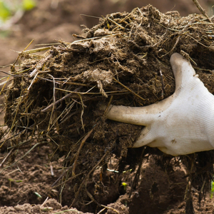 Engrais organique en poudre, nourriture naturelle pour plantes, stimule la fertilité du sol, engrais bio à base de compost pour l'agriculture et le jardinage, export - Product Image 1