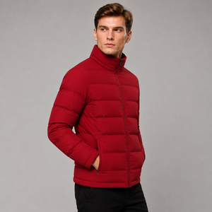 Lightweight insulated jacket crafted with practical winter comfort and sleek styling for casual travel and outdoor cold weather - Product Image 4