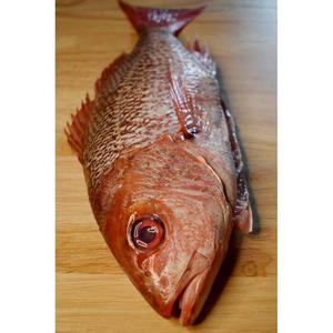 Pescado Entero Congelado IQF, Lubina Roja, Desespinado, Eviscerado, con Escamas, Pescado Salvaje, Comercio de Mariscos - Product Image 5