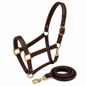 Harnais de cheval anglais sur mesure en cuir teint à la fûtée avec têtière réglable, rembourrage en cuir souple et quincaillerie en laiton - Product Image 1