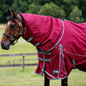 OEM 100% Polyester Ripstop Waterproof Cotton Filled Medium <b>Weight</b> Winter Keep Warm Horse Rugs & <b>Blanket</b> Custom Logo - Product Image 6