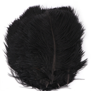 Plumas de Avestruz Frescas al por Mayor, Calidad Premium Directamente de la Fuente para Mercados Globales - Product Image 1