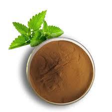 Poudre d'extrait de menthe verte biologique super-alimentaire à base de plantes, cultivée artisanalement, aux bienfaits pour la santé - Product Image 2
