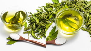 Suministro a Granel de Hojas Secas de Stevia Rebaudiana en Bolsa de 0.22 Libras para la Industria Alimentaria y Fabricantes de Té - Product Image 5