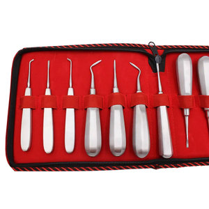 Instruments chirurgicaux pour extraction dentaire, implant dentaire, prix usine, ensemble d'élévateurs radiculaires orthodontiques, lot de 13 instruments dentaires - Product Image 4