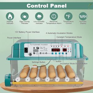 Incubateur à œufs 36 places, 4 modes automatiques, avec fonction de retournement, pour l'éclosion des œufs de poule - Product Image 5