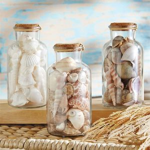 Decoración Oceánica, Botellas con Conchas Marinas, Precio Económico, Coleccionables, Botellas Rellenas de Conchas Marinas Naturales - Product Image 4