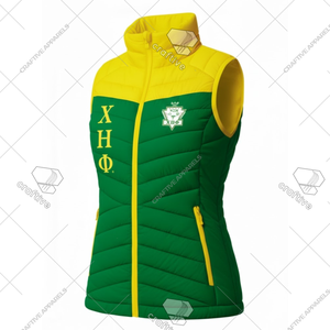 Gilet matelassé Chi Eta Phi prêt à être expédié, gilet matelassé de haute qualité, gilet rembourré de style universitaire, gilet isolé pour femmes - Product Image 2