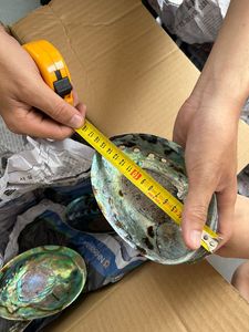 Vietnam Factory <b>Abalone</b> <b>Shell</b> Polished Large Size Decorative <b>Shell</b> Craft Material Bulk Export Supplier - Product Image 6