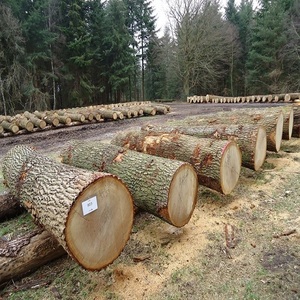 Bûches de chêne américain rouge de qualité supérieure, 100 % bois massif, forme ronde, durée de vie de 20 ans, pour les maisons et les restaurants - Product Image 3
