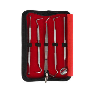 Ensemble d'instruments dentaires légers en acier inoxydable, best-seller, avec logo personnalisé, haute qualité, manuel, réutilisable pour usage clinique - Product Image 2